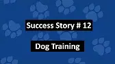 Success Story #12