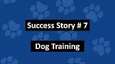 Success Story #7